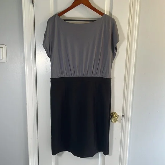 Ann Taylor Loft women’s sleeveless dress - Picture 2 of 4